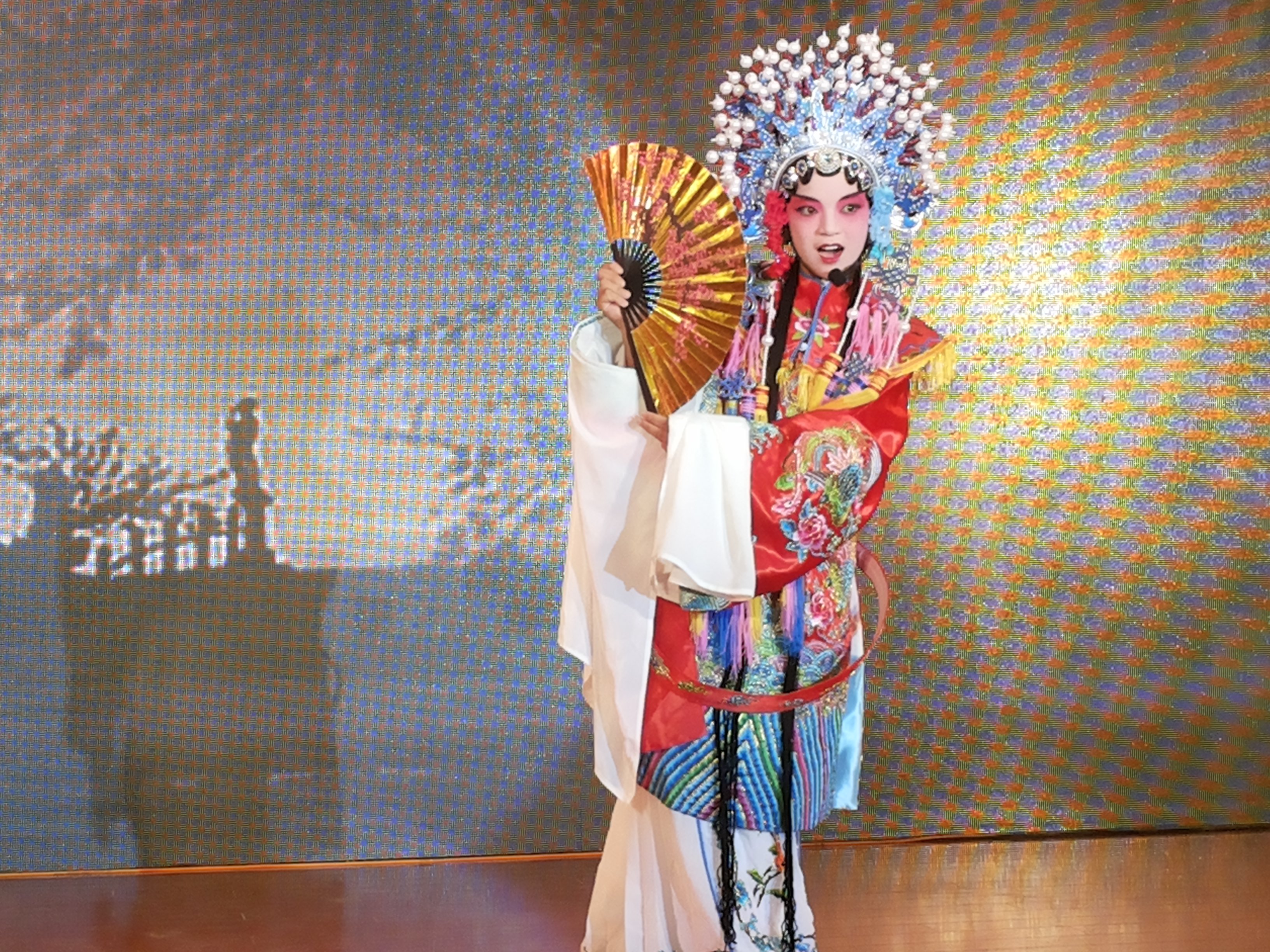 拉特羅布市管弦樂(lè)隊(duì)與我校舉行音樂(lè)聯(lián)誼會(huì)