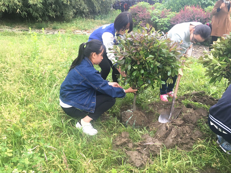 梓桐園藝社開展“我為學(xué)校添新綠”植樹活動